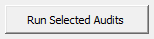 3. Run Selected Audits button