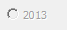 16. 2013 option