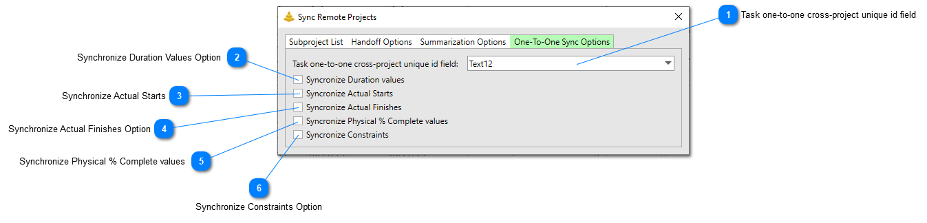 One-to-One Sync Options Tab