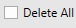 2. Delete All Option