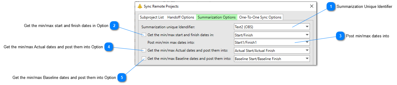 Summarization Options Tab